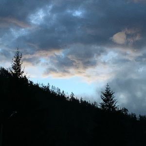 Meet your Posher, Brandi